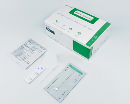 Ein Schritt schneller Schwangerschaftstest Kit HCG